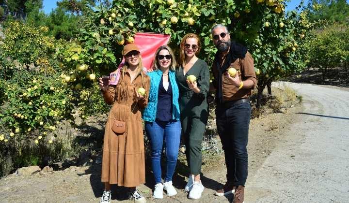 Yılın ilk zeytin hasadı Ziya Bey Konağı'ndan 7 Yılın ilk zeytin hasadı Ziya Bey Konağı’ndan