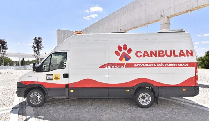 Konya Büyükşehir Belediyesi, sokakta kaza geçiren, yaralı hayvanların yardımına 'Canbulan' ile koşuyor 5 Konya Büyükşehir Belediyesi, sokakta kaza geçiren, yaralı hayvanların yardımına ‘Canbulan’ ile koşuyor