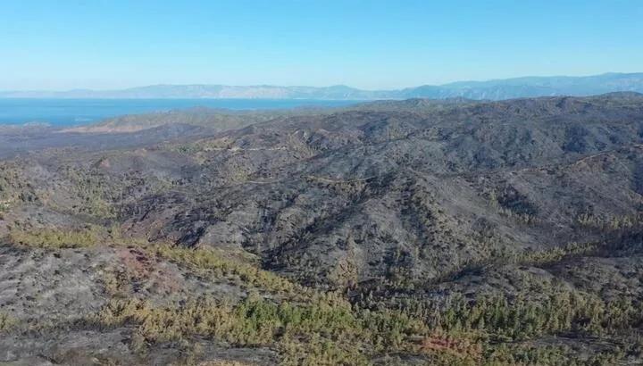 Marmaris’teki orman yangını tamamen kontrol altında 1 Marmaris’teki orman yangını tamamen kontrol altında