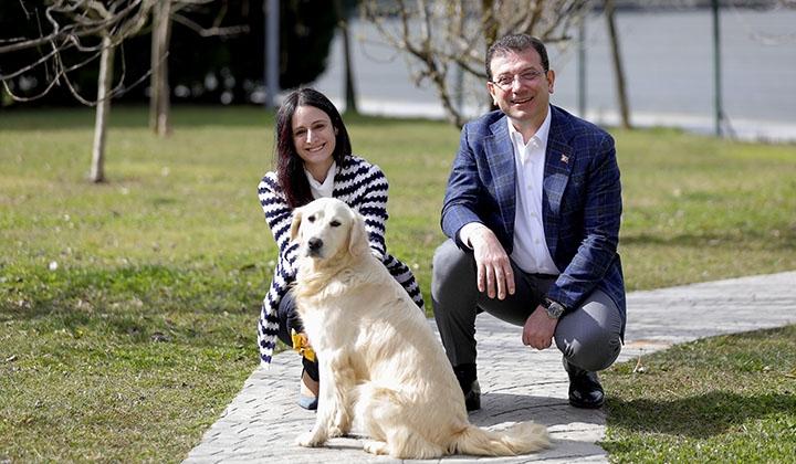 İBB, İstanbul Gönüllüleri ve SemtPati iş birliği ile sokak hayvanlarını sahiplendirme seferberliği başlatıyor