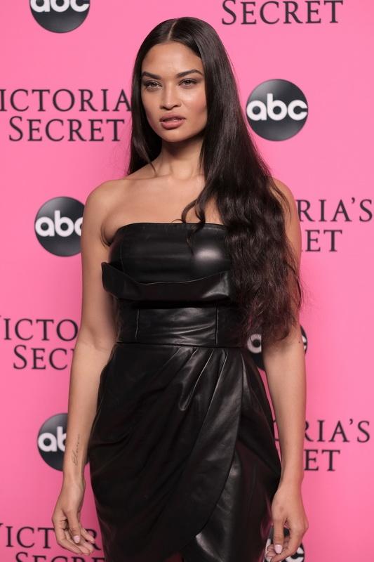 f11e32d72ce84480b0df107e20250824vs14 shanina-shayk