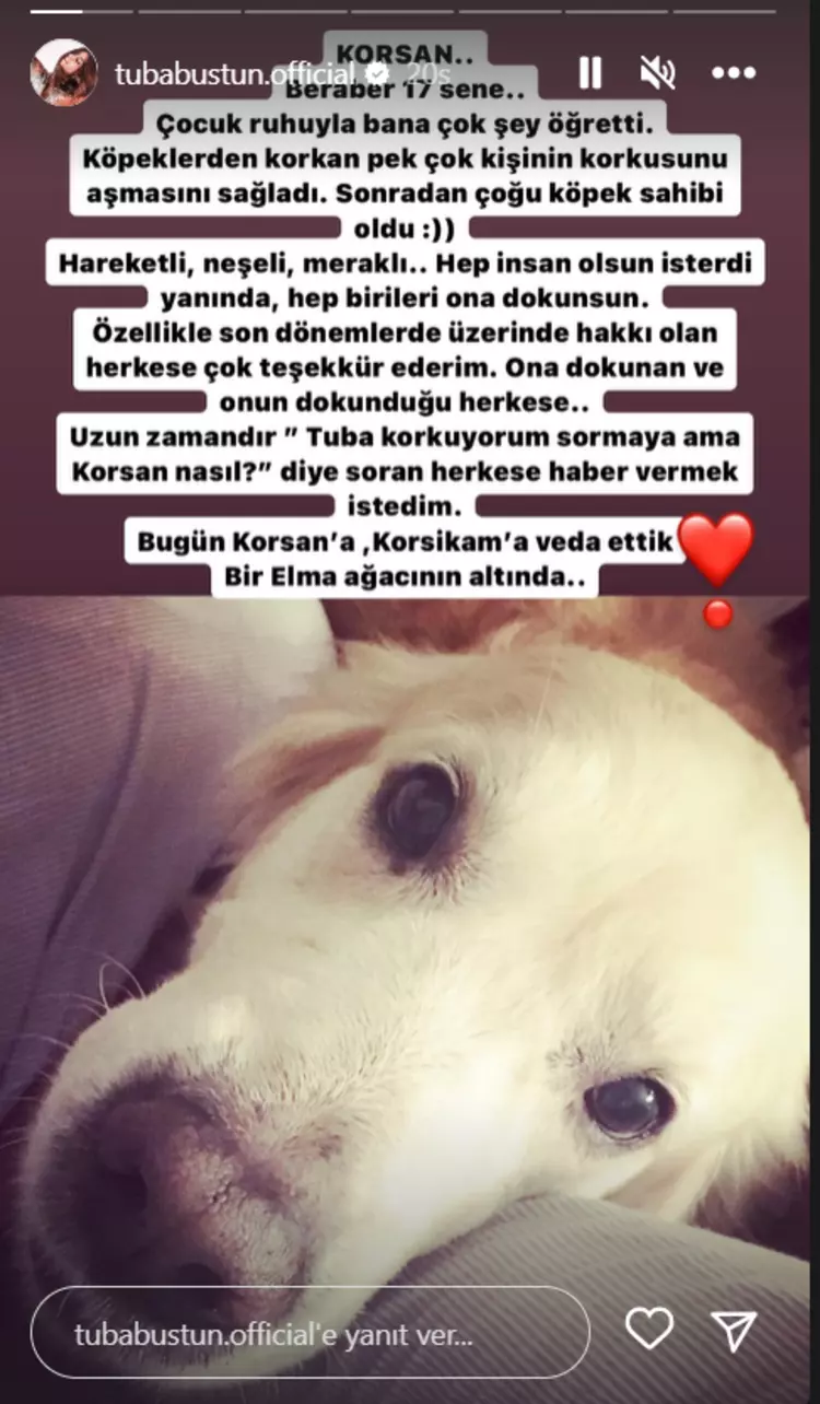 Tuba Büyüküstün sosyal medya sayfasından yaşadığı acı olayı takipçileriyle paylaştı 4 6454a100e4bfdc0b44c249f6 Tuba Büyüküstün sosyal medya sayfasından yaşadığı acı olayı takipçileriyle paylaştı