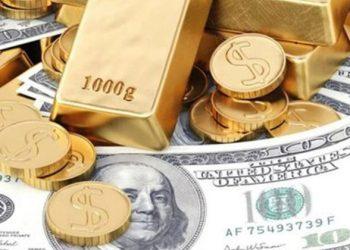 Dolar ve Euro rekor tazeledi