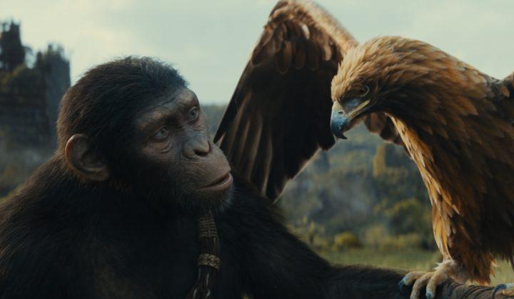 'Maymunlar Cehennemi: Yeni Krallık' filminden ilk fragman yayınlandı 1 ‘Maymunlar Cehennemi: Yeni Krallık’ filminden ilk fragman yayınlandı