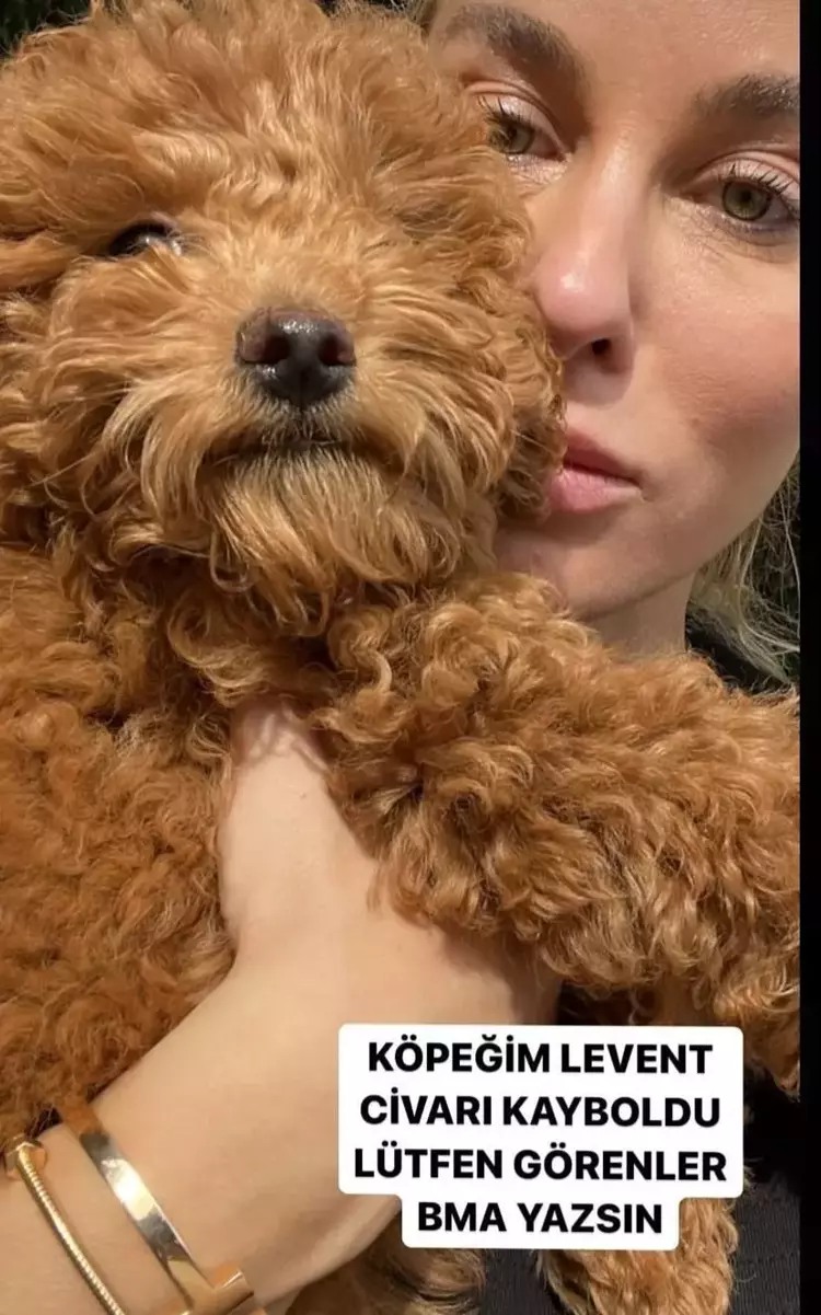 656968c3e4bfdd1b3c48d46b Hande Gülşen Yontunç'un 'Mini' kabusu