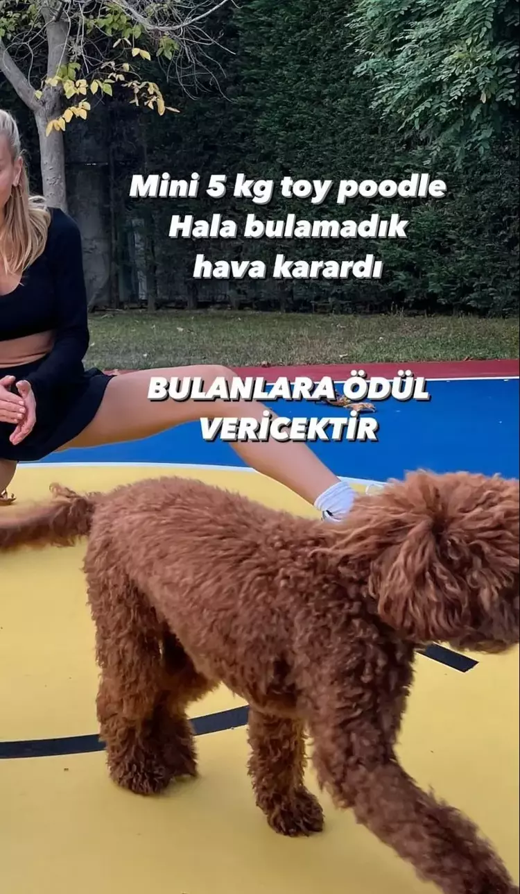 656968c3e4bfdd1b3c48d46f Hande Gülşen Yontunç'un 'Mini' kabusu