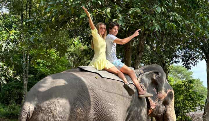 Sosyetik güzel Ivana Sert, Sri Lanka'da fillerle keyif dolu anlar yaşadı 2 Sosyetik güzel Ivana Sert, Sri Lanka’da fillerle keyif dolu anlar yaşadı