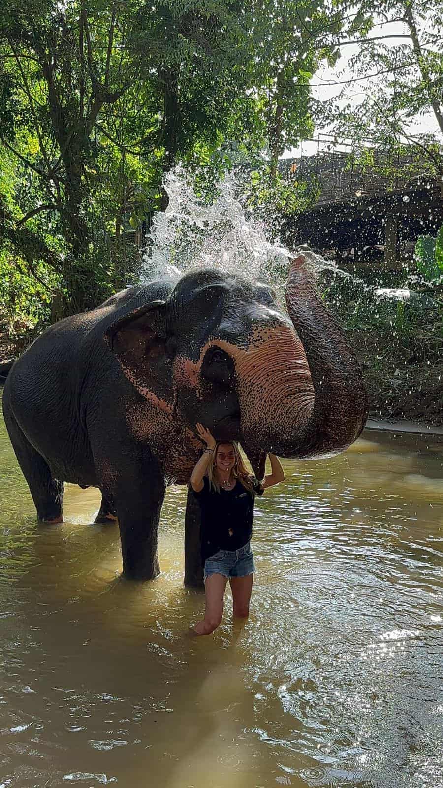 Sosyetik güzel Ivana Sert, Sri Lanka'da fillerle keyif dolu anlar yaşadı 3 ivana fil1 Sosyetik güzel Ivana Sert, Sri Lanka'da fillerle keyif dolu anlar yaşadı