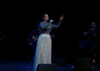 Viyana Türkçe Tiyatro Festivali, Zuhal Olcay konseri ile açılış yaptı