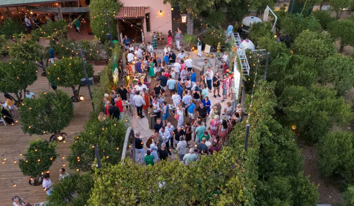 Pernod Ricard Türkiye, 2. Bodrum Mandalini Hasat Etkinliği'ni gerçekleştirdi 1 Pernod Ricard Türkiye, 2. Bodrum Mandalini Hasat Etkinliği’ni gerçekleştirdi