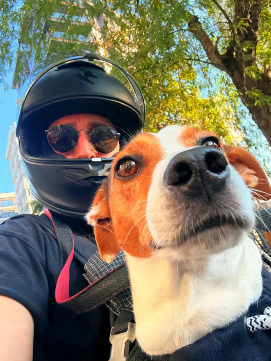 emreBulut 3 Emre Bulut ve Köpeği Leo Ölümden Döndü!