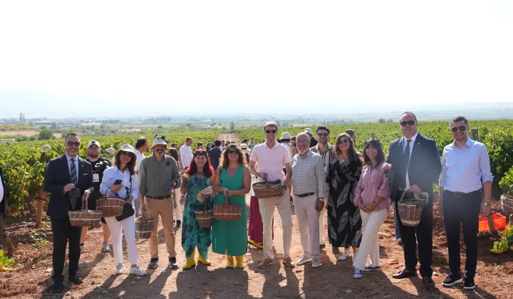 Çal Bağbozumu Festivali’nde kültür, sanat ve bağcılık bir arada