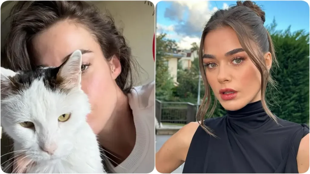 18 yıllık patili dostunu kaybetti 1 bensukedi 18 yıllık patili dostunu kaybetti