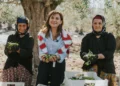Edremit'ten dünyaya açılan bir başarı hikayesi: Nermin Hanım Zeytinliği 13 Edremit’ten dünyaya açılan bir başarı hikayesi: Nermin Hanım Zeytinliği