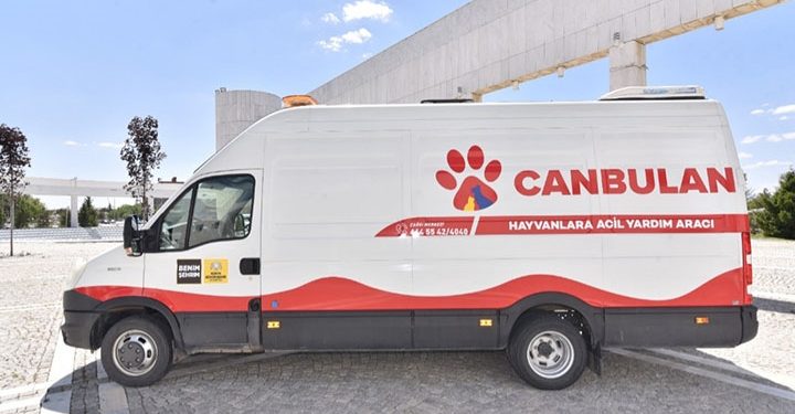 Konya Büyükşehir Belediyesi, sokakta kaza geçiren, yaralı hayvanların yardımına ‘Canbulan’ ile koşuyor