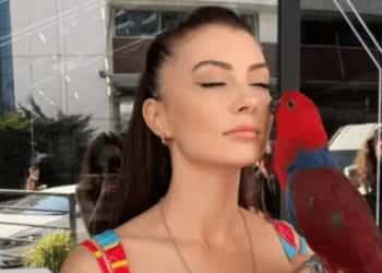 Burcu Özberk’in çok sevdiği papağanı evden kaçtı