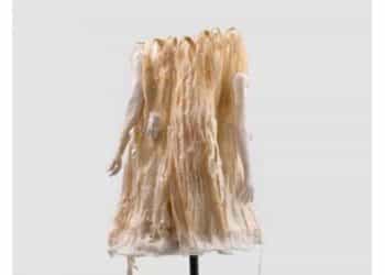 Azade Köker’in ‘Venüs’ çalışması Los Angeles County Sanat Müzesi tarafından satın alındı