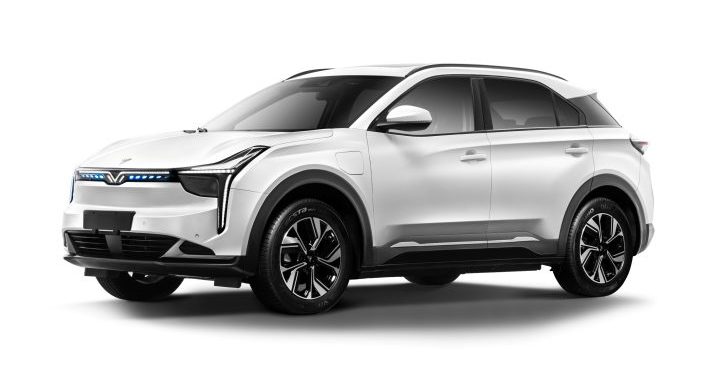 Hozon Neta, Avrupa’dan Önce Türkiye’de