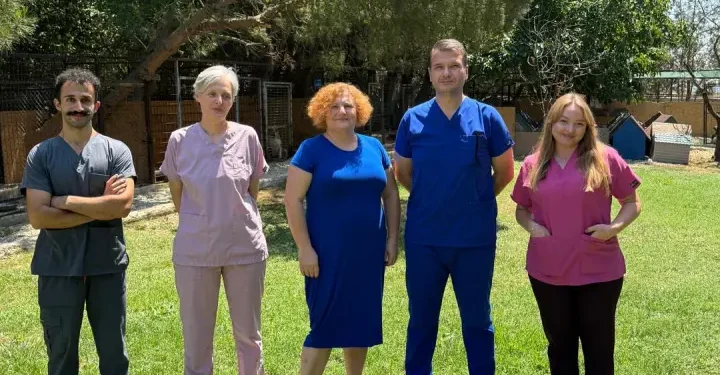 Felçli, yaşlı ve ağır hasta hayvanlar için ENCANDER