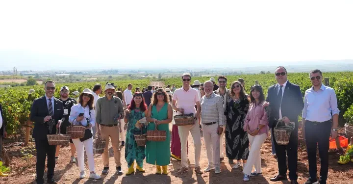 Çal Bağbozumu Festivali’nde kültür, sanat ve bağcılık bir arada