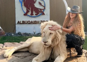 Pınar Kerimoğlu, Dubai’de aslan gezdirdi